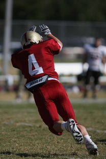 DB电竞分析入口-那不勒斯战平波尔图，莱万扑点救主足总杯