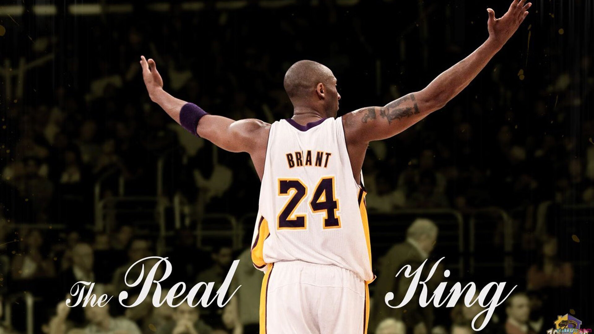 阿根廷风暴席卷法兰西,欧冠淘汰赛焦点战,梅西领衔一波带走雷恩